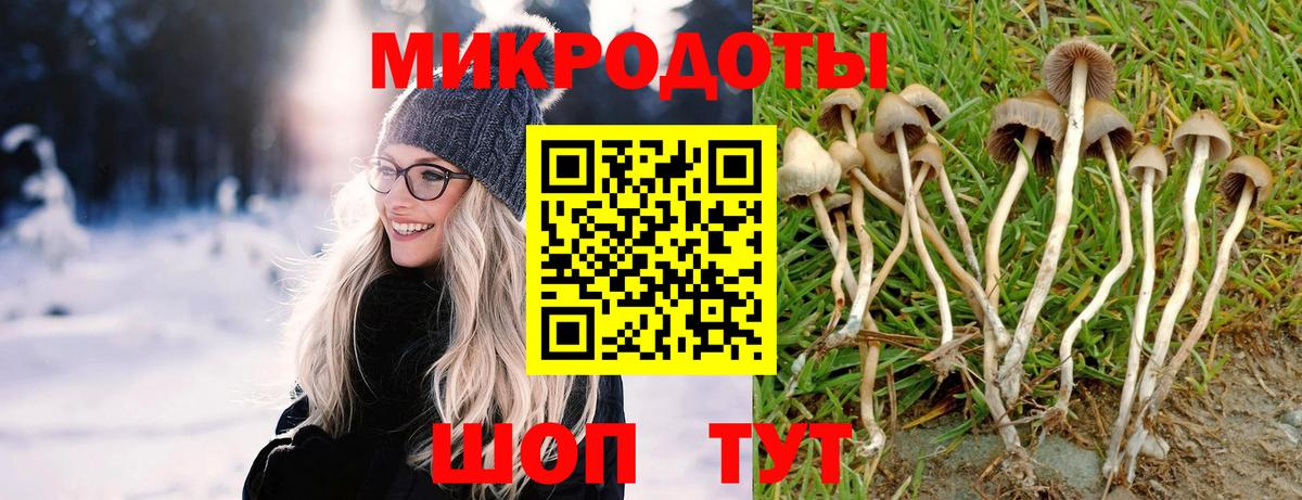 Псилоцибиновые грибы GOLDEN TEACHER Кострома