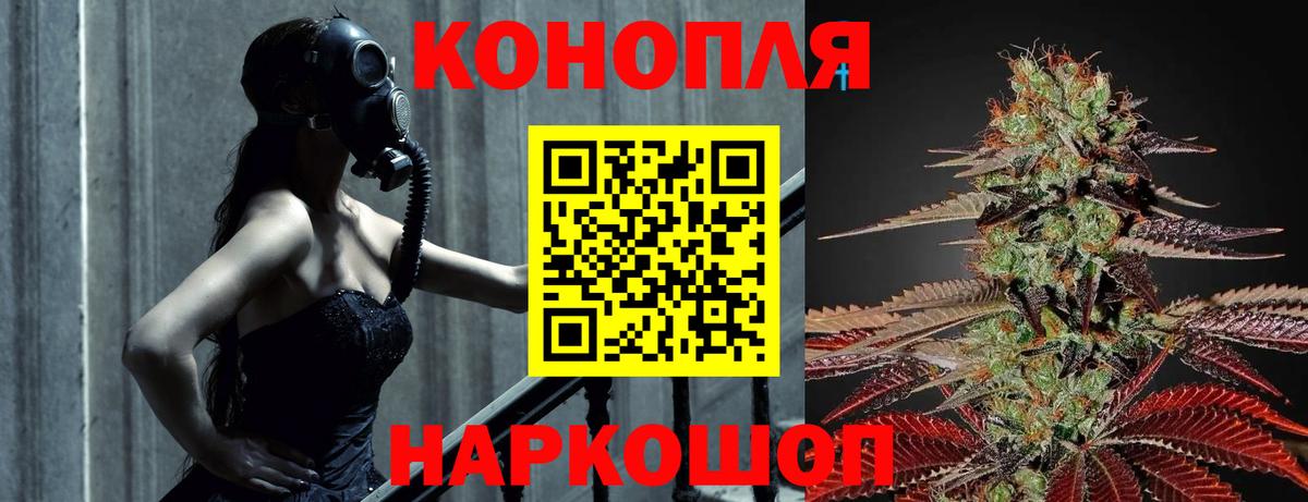 Канабис ГИДРОПОН Кострома