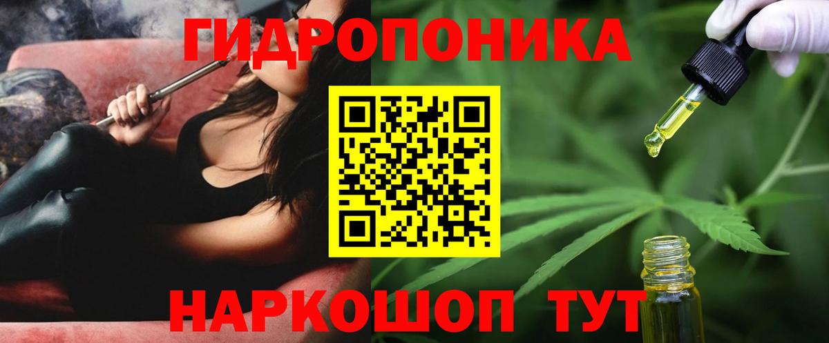 Бошки Шишки планчик  Вход с VPN  Бошки Шишки THC 21%  Каннабис OG Kush  Кострома 